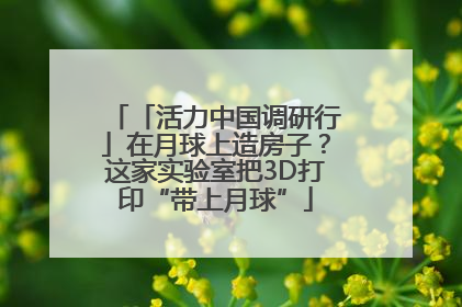 「活力中国调研行」在月球上造房子？这家实验室把3D打印“带上月球”